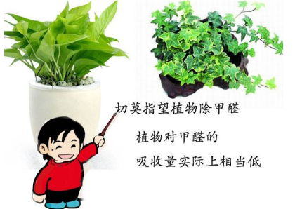 植物除甲醛