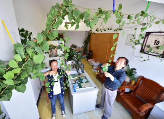 平常室內除甲醛用的方法弊端有哪些？