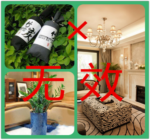 綠植真的能除甲醛嗎？植物除甲醛的真相