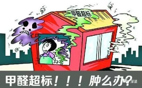 除甲醛加盟項目賺錢嗎？